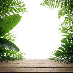 frame with palm trees