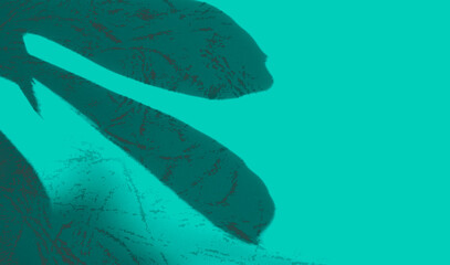 Fototapeta premium Background green abstract line shadow overlay on cement wall floor beige mockup product cosmetic summer tropical nature presentation frame template eco backdrop environment