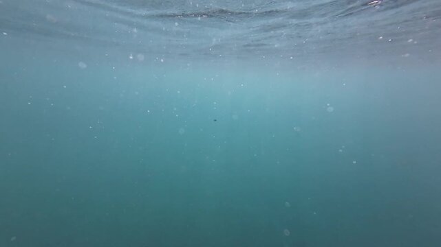 Sun rays pass through the water surface into murky depths. Light beams penetrate the surface of water and scatter through turbid water, creating a calm underwater atmosphere.