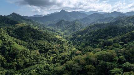 Fototapeta premium Expansive aerial view of lush green mountains blanketed with dense forests under a bright blue sky