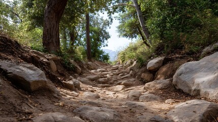 A rugged rocky mountain trail ascends through a sunlit forest