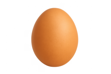 Brown chicken egg on transparent background