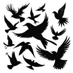 Fototapeta premium Flying Birds Silhouette Set Isolated on White Background