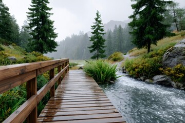 Wooden bridge crossing a river in mountain forest rain
