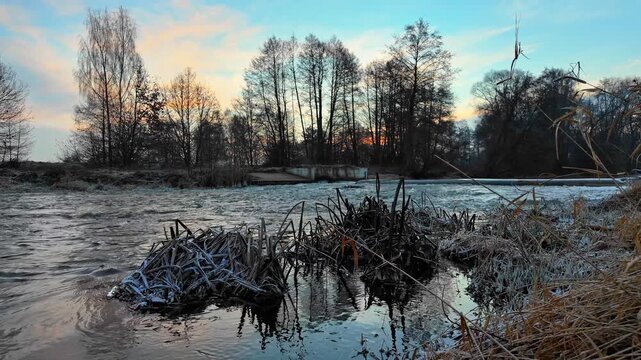 River with low weir at dawn, frozen reeds along banks, calm water reflections and soft sky