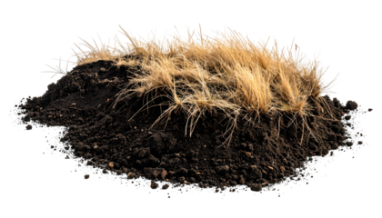 A mound of dark soil topped with dried, golden-brown grasses against a dark background