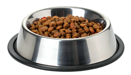 Stainless steel pet food bowl filled with dry, brown kibble on a black base