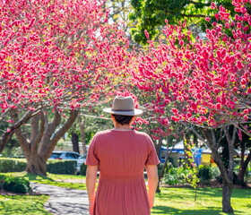 Woman in Coral Dress and Hat Walking Along Garden Path Lined with Vibrant Pink Blossoming Trees
