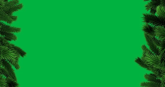 Animation of decoration with green fir tree branches on black background