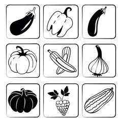 Collection of vegetable icons in square frames, black and white line art illustrations of eggplant, pumpkin, pepper and garlic for garden design