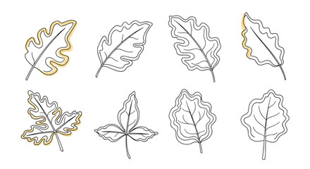 A collection of eight oak and other tree leaves drawn in a continuous line style with abstract yellow accents for an autumn feel.