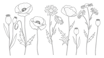 Obraz premium Intricate floral circuit board design with detailed metallic flowers isolated on transparent background