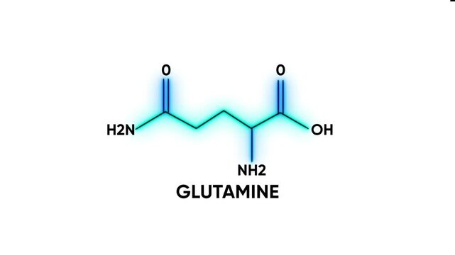 Glutamine Molecule Structure Amino Acid Formula Chemical Composition chemical structure molecular formula