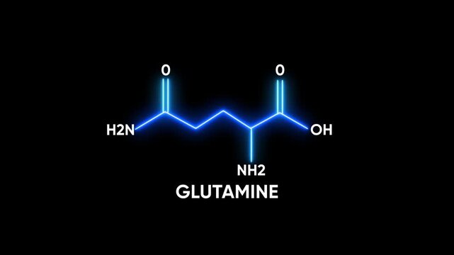 Glutamine Molecule Structure Glowing Blue Chemical Formula H2 N H2 O H O