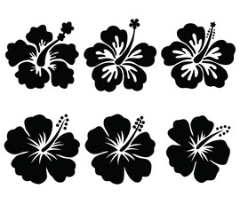 A collection of nine black floral silhouettes, including roses, hibiscus, lotus, sunflowers, and daisies, arranged in a grid on a white background, showcasing diverse flower shapes and styles,vector © carfts design