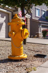 yellow fire hydrant