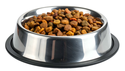 Close-up of a stainless steel pet food bowl filled with dry, crunchy, colorful kibble
