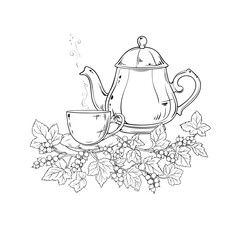 Black Currant Tea in Teapot aroma beverage Outline Illustration. Vector isolated for Design and Decoration for Cafeteria, Posters, Banners, Cards.