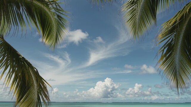 Green palm branches framing beautiful blue sky on sunny summer day creating peaceful tropical background for vacation relaxation.