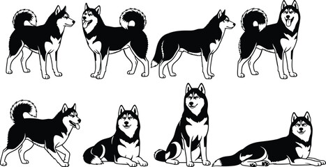 Siberian Husky silhouette, standing husky, sitting husky, running husky, lying husky, dog breed vector, black silhouettes, editable vector, husky clipart,  husky poses, husky collection,  © MdMasud