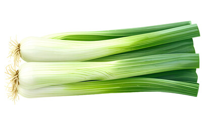 Two fresh leeks, white bulbs to green leaves, resting on a black background, realistic detail