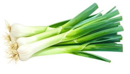 Fresh, organic leeks, their white bulbs rooted, fanning out into vibrant green leaves