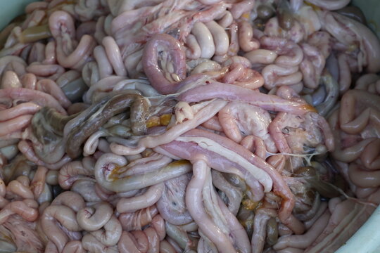 Raw chicken intestines commonly prepared as food in several Asian countries, representing unhealthy food concepts and questionable nutritional value.