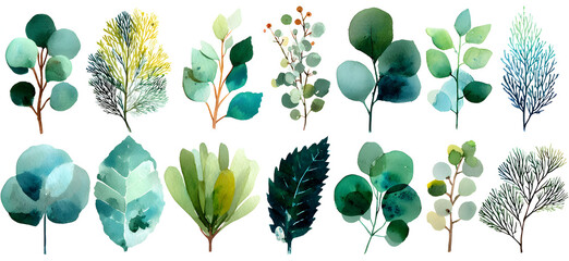 Set watercolor herbal elements. collection garden leaves, branches, Botanic illustration isolated on white background.