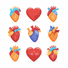 Heart Icon Collection Vector Set Featuring Love and Health Symbols Including Anatomical Human Organs in Red Orange and Blue Tones on a White Background