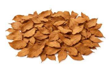 Dry autumn leaves piling creating fall season feeling