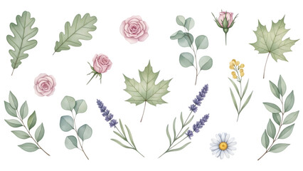 Obraz premium Watercolor floral arrangement with delicate leaves and blossoms isolated on transparent background