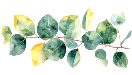 Watercolor depiction of eucalyptus branch with various shades of green and yellow leaves