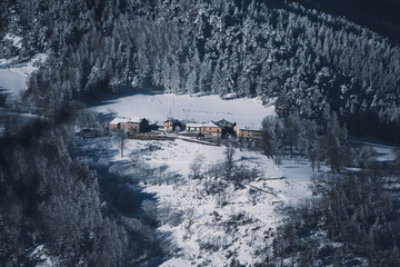 Snow covered forest, Italian Alps