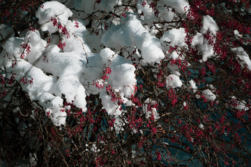 view of mountains covered with snow, Alps