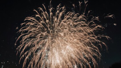 Spectacular Fireworks Display Illuminating the Night Sky with Brilliant Bursts of Light.