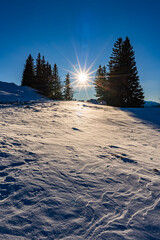Tonion - Hochsteiermark - M&uuml;rzsteger Alpen - Mariazell - &Ouml;sterreich