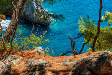 Fototapety na wymiar - Fototapeta24.pl