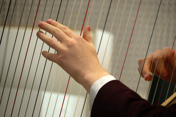 Harp player plays his instrument during concert