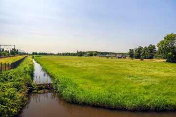 Watering canals of the rest peat area of the Zuidplaspolder