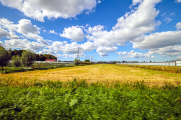 High-voltage pylons and cables through the Groene Zoom near Nieuwerkerk aan den IJssel