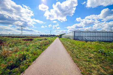 High-voltage pylons and cables through the Groene Zoom near Nieuwerkerk aan den IJssel