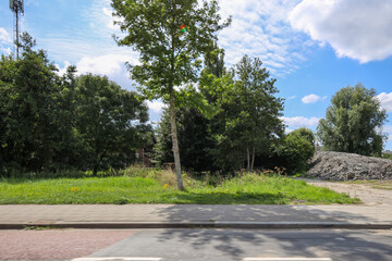Small green area destined for development of new houses in Zevenhuizen