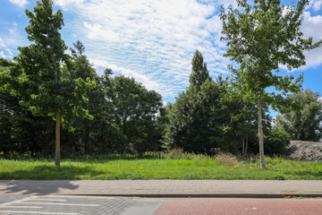 Small green area destined for development of new houses in Zevenhuizen