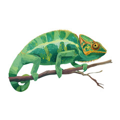 Minimal 2D flat vector of a Chameleon, icon-style illustration on a white background © Alex