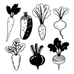 Hand drawn set of root vegetables and leaves in black and white, organic garden produce icons featuring carrot, radish and beet, farm market sketches for design