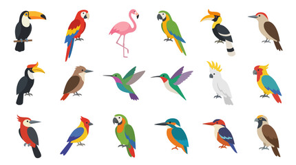Obraz premium Collection of Various Colorful Bird Species.