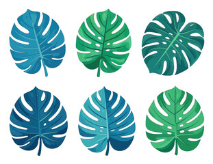 Fototapeta premium Six large tropical monstera leaves in blue and green