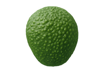 Whole green avocado fruit with textured skin