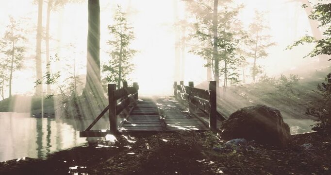 A serene wooden bridge stretches across a calm pond in a misty forest, illuminated by soft sunlight filtering through tall trees at dawn, creating a magical atmosphere.