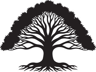 Obraz premium Stunning tree silhouette with sprawling roots and branches